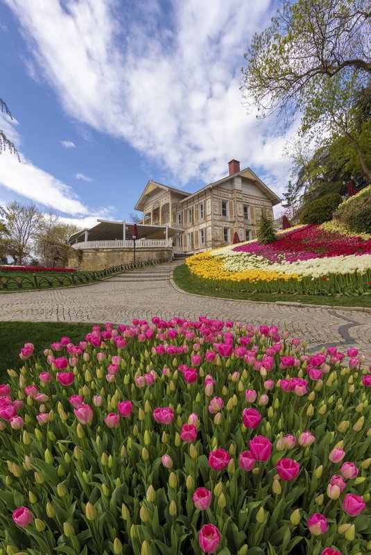 #landscape #emirgan #istanbul #tulip #flower Emirgan Korusuphoto preview