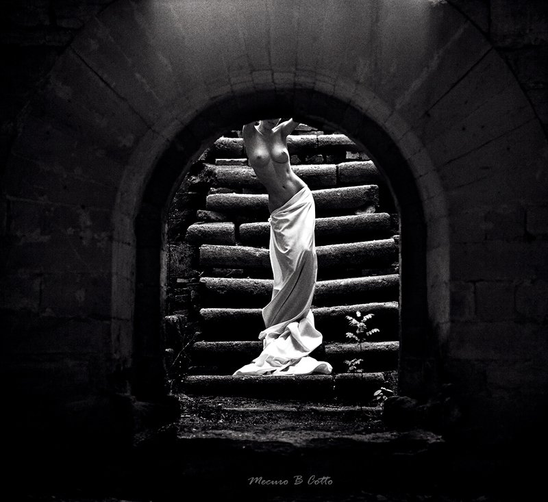 mecuro mecurobcotto cotto mecurocotto ***photo preview