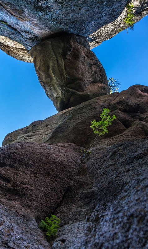сибирь, красноярск, столбы, заповедник, скала, сила жизни, ник васильев, красота, каменный человек, львиные ворота Что, не узнали?..photo preview