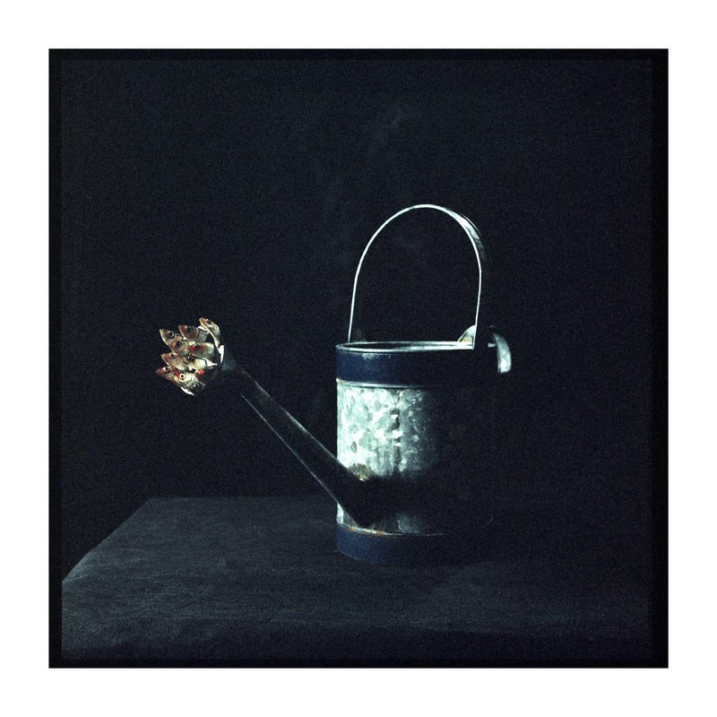 Film, analogue, art, fish, miracles, ironic, series, surrealism Maxina Ex Deo (Triptych)photo preview