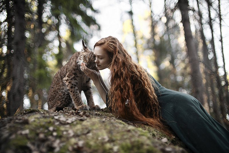 Children of the woodsphoto preview