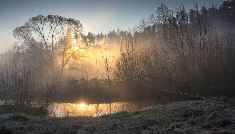 Весеннее солнышко...photo preview