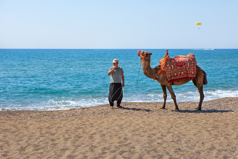 эх прокачу ...photo preview