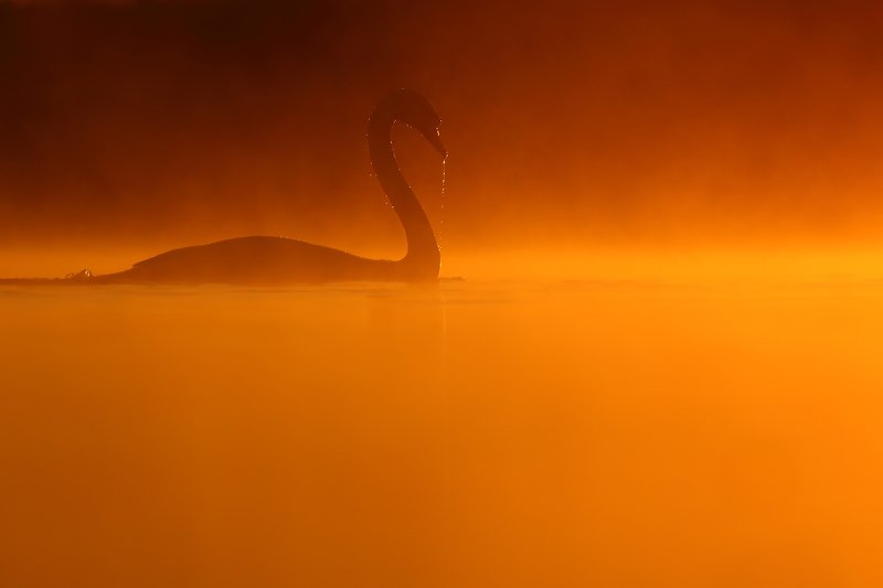 Bath time! фото превью