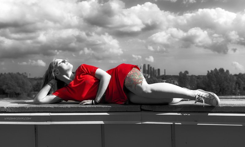 Красный осьминогphoto preview