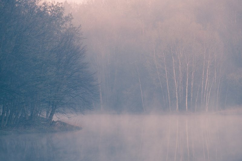 Природа просыпаетсяphoto preview