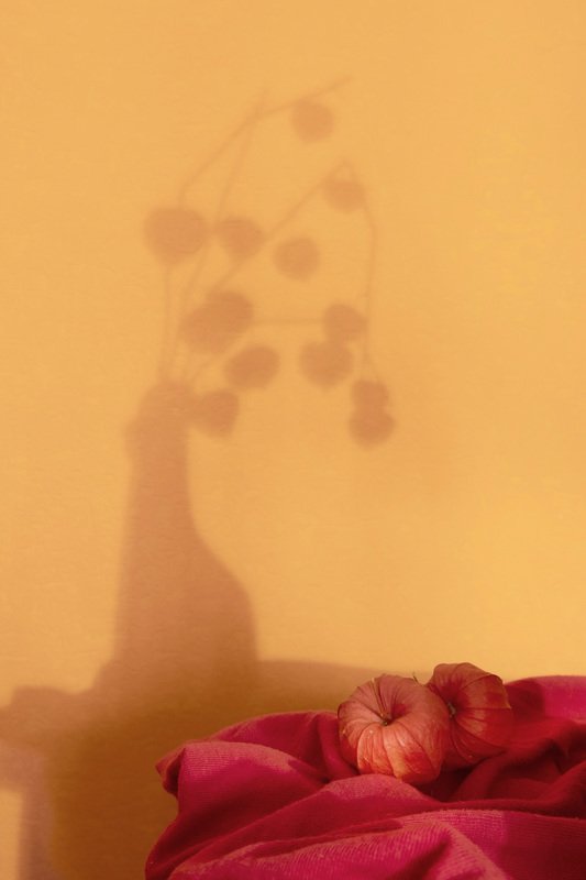 Воспоминание о мамеphoto preview