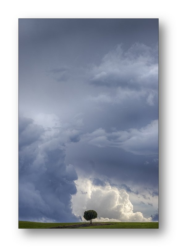 infinityphoto preview