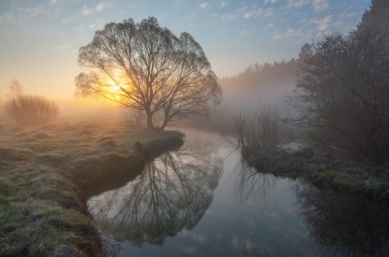 Солнечное утро...photo preview