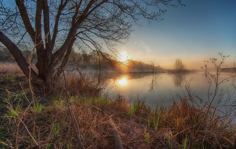 древлянский заповедник photo preview