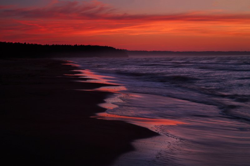 Мартphoto preview