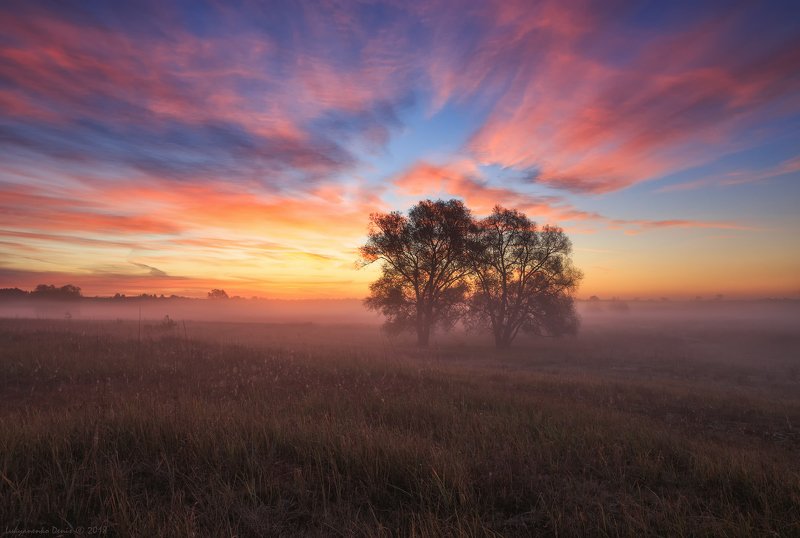 2018, россия, пейзаж, утро, рассвет, туман, облака, деревья, небо, краски, трава В объятьях розовых сновphoto preview
