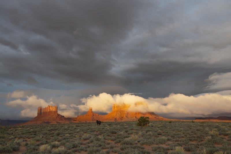 valley of fire, monument valley Somewhere in Americaphoto preview