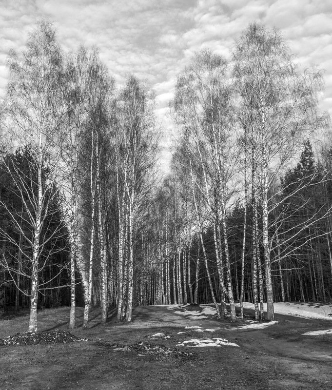 У озераphoto preview