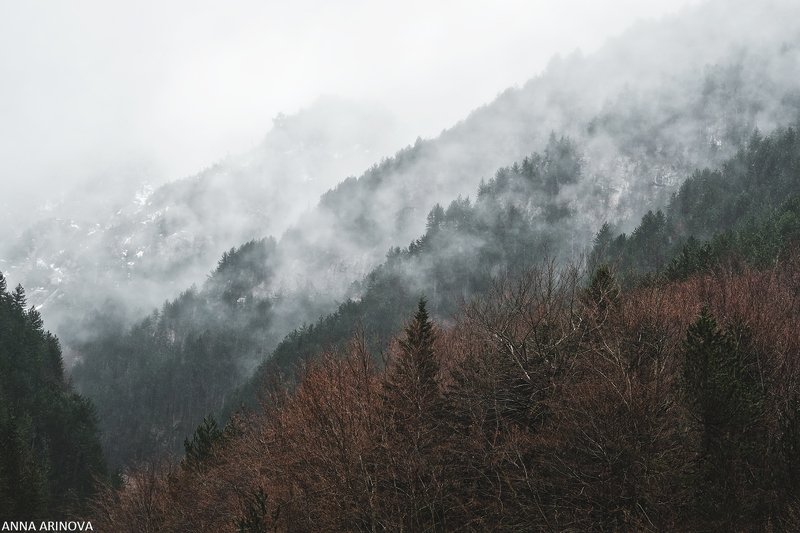 Олимпphoto preview