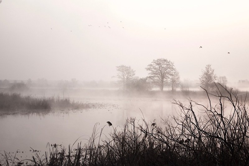 апрель фото превью