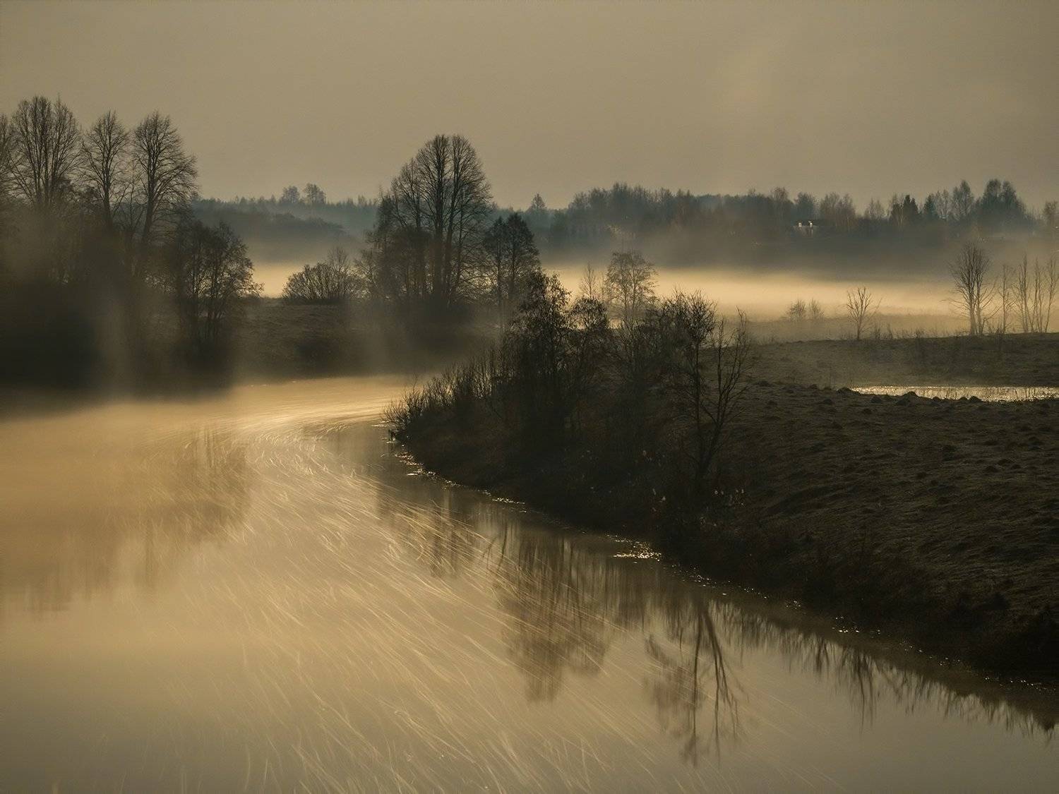 , Марина Брыдня