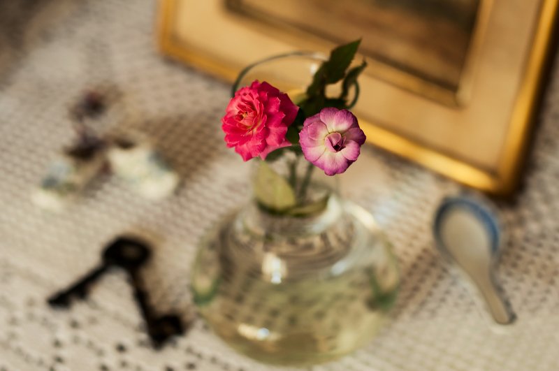 Dos rosas en el florerophoto preview