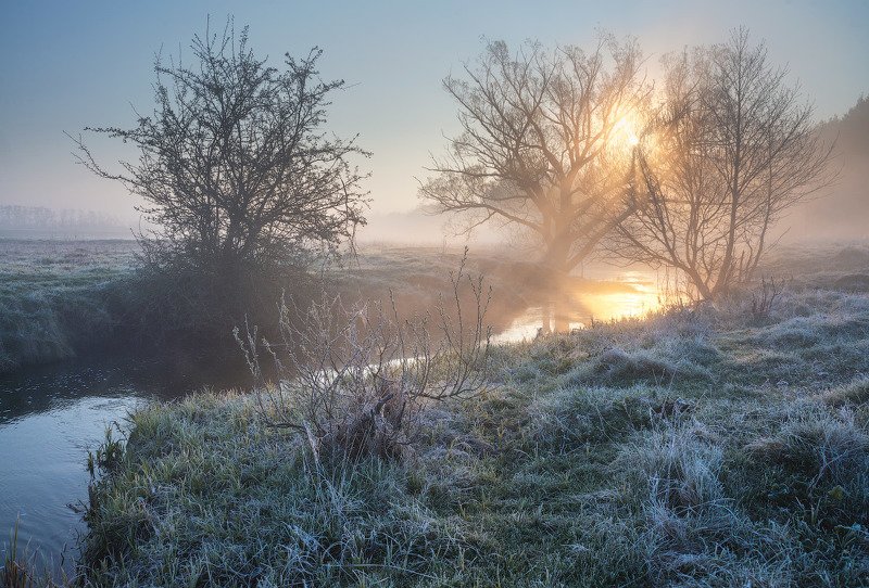 Апрельские заморозки...photo preview