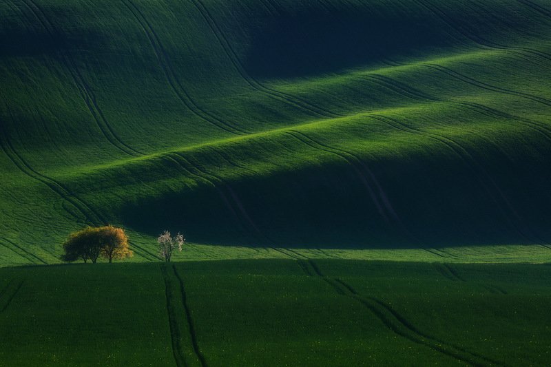моравия, чехия, moravia, czechczech, моравия, южная моравия, south moravian Чешские этюды.photo preview