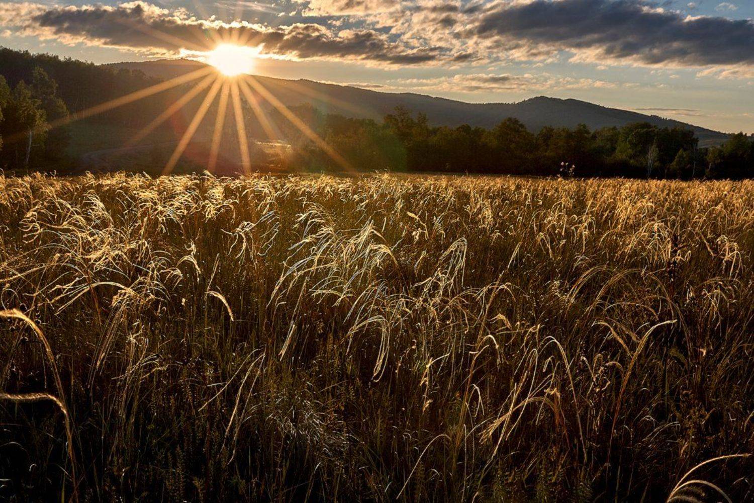 башкирия, южный урал, урал, орск, новотроицк, талкас, гадельша, сибай, зилаир. баймак, юлдыбаево, озеро талкас, водопад, водопад гаделша, пейзаж, лето, осень, качурин, зима, весна, ковыль, Качурин Алексей