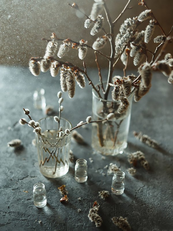 весна, натюрморт, веточка, почки, верба, ольха, ***photo preview