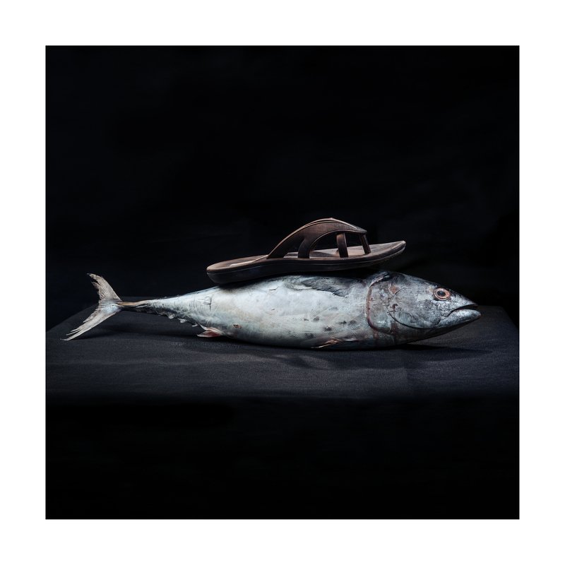 Film, analogue, art, fish, miracles, ironic, series, surrealism Maxina Ex Deo (Triptych)photo preview