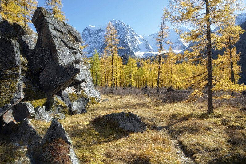 алтай,горы янтарный вечерphoto preview