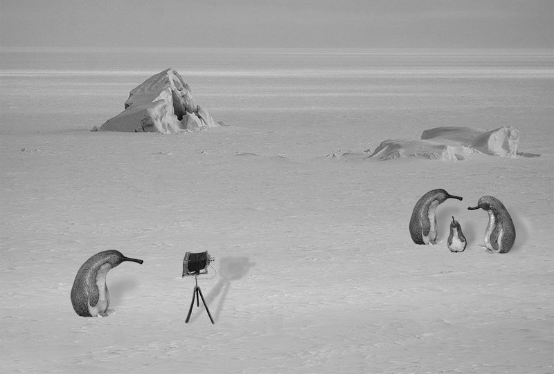 семейное фотоphoto preview