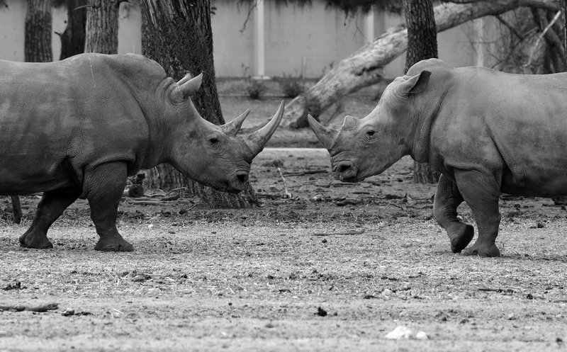 a meeting...photo preview