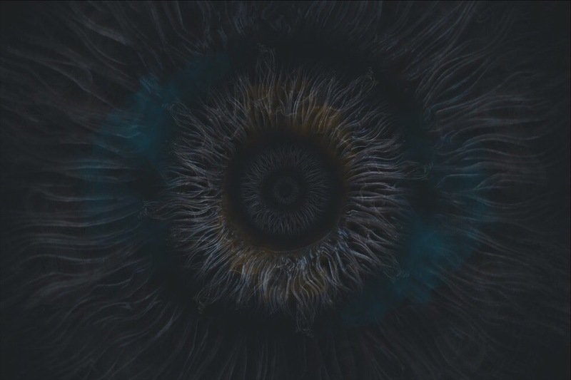 Шампиньонphoto preview