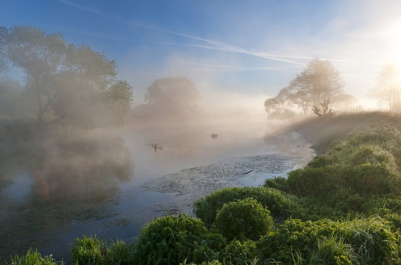 утро, свислочь, туман, пейзаж ***photo preview