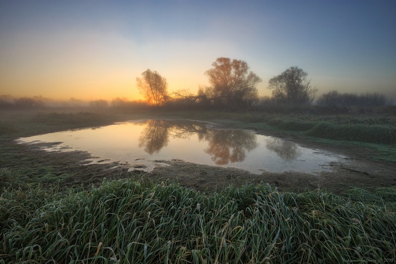 2018, россия, пейзаж, утро, осень, туман, трава, озеро, рассвет, иней, отражение, солнце, деревья Засуха...photo preview