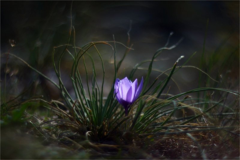 крым, севастополь, балаклава Это Крым в ноябре...photo preview