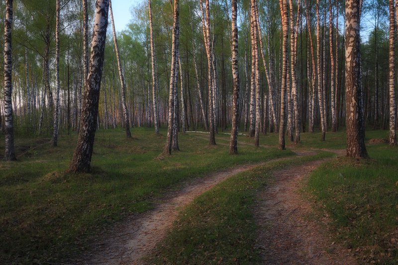 Ивановская рощаphoto preview