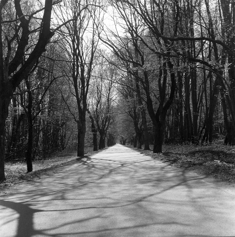 Калининградская дорогаphoto preview