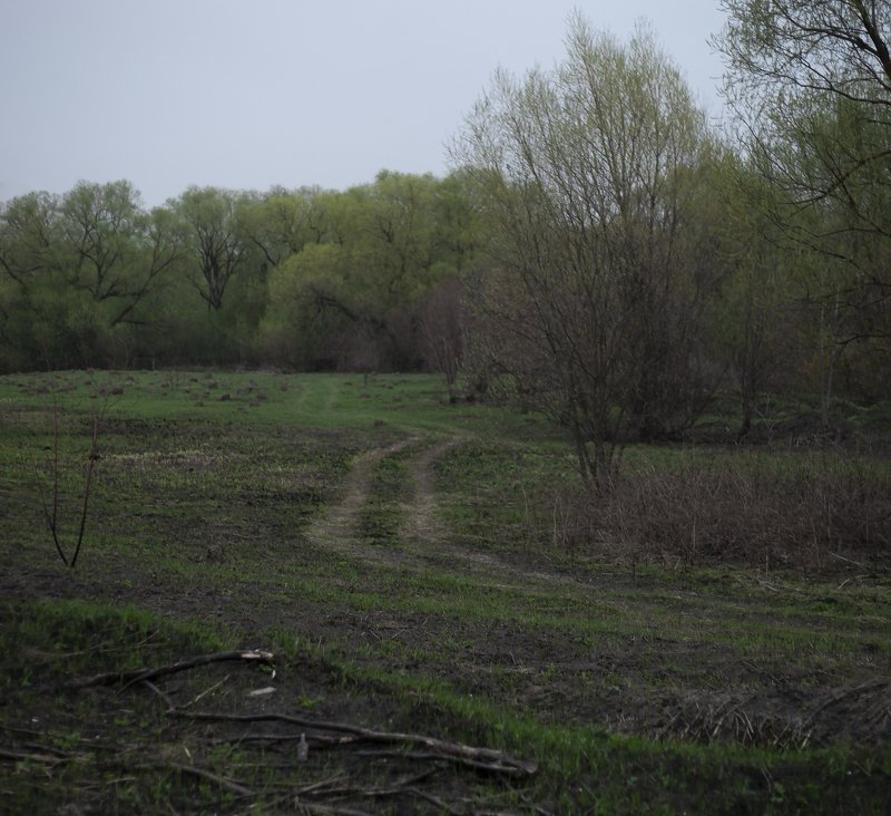 landscape,forest,beautiful,screatives,пейзаж,весна,апрель,april,color,field,beautifullandscape,springrlove,spring2019,весна2019,цвета,вечнаявесна,thaw,filmcolor,film,green. Outskirts of Tulaphoto preview