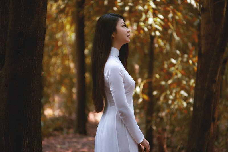 áo dài, việt nam Tâm Dươngphoto preview