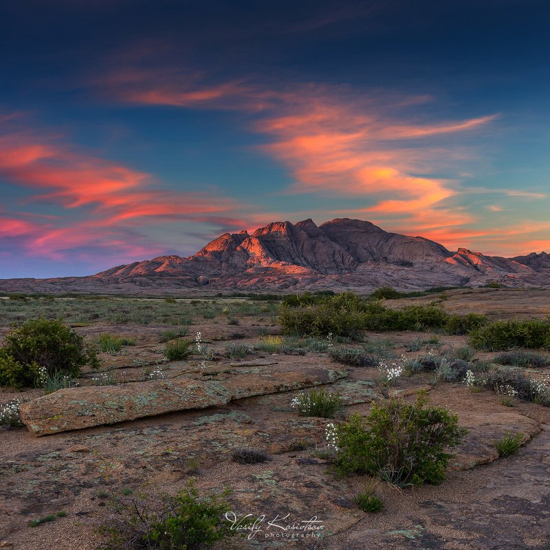 казахстан, бектау-ата, северное прибалхашье, май 2018 про предвестников грозы... и Дрёму липкую фото превью