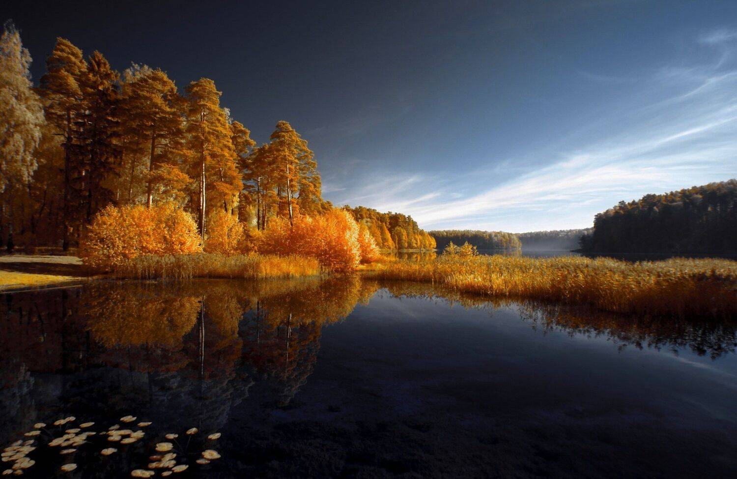 Услышать осень.. Автор: Sixten ( Сергей ) infrared,ик-фото,инфракрасное фото, инфракрасная фотография, пейзаж, осень, беларусь, Sixten ( Сергей )