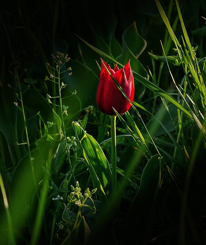 затерявшийсяphoto preview