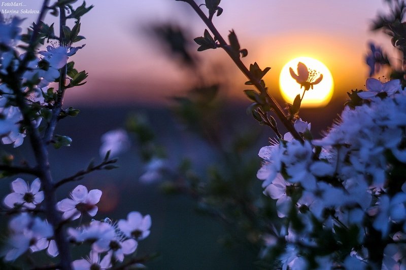 Про закат.photo preview