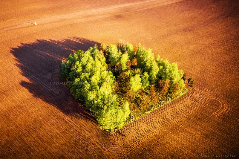 poland, polish, field, spring, awesome, amazing, adventure, colours, landscape, drone, sunrise, sunset, light, outdoor, travel Spring cleaningphoto preview