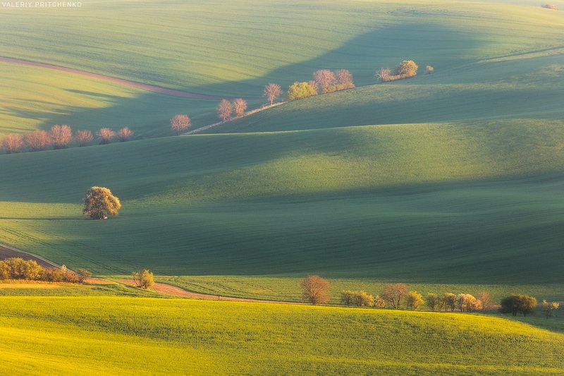 Просторы Южной Моравии.photo preview