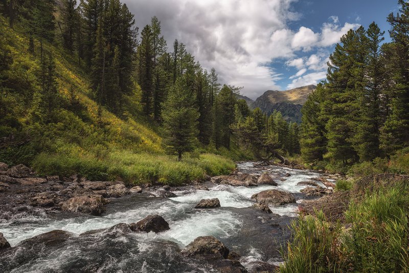 Реки приют таежныйphoto preview