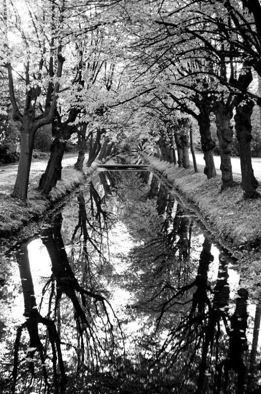 ....каналы Петергофа.... фото превью