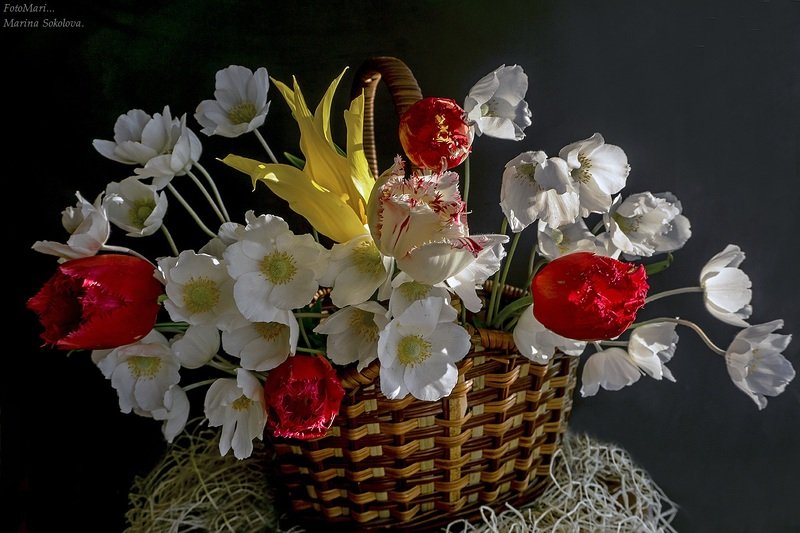 Весенний привет...photo preview