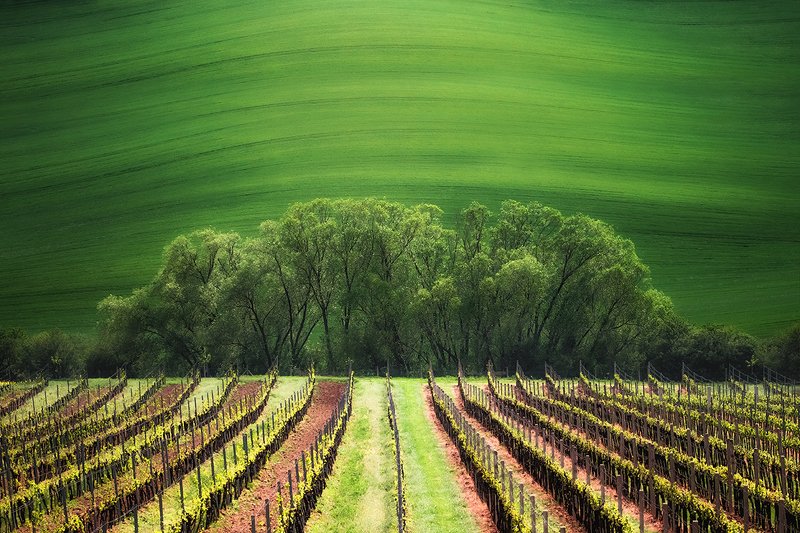 Moraviaphoto preview