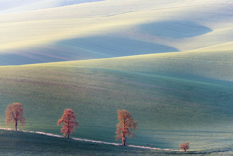 В Моравских поляхphoto preview