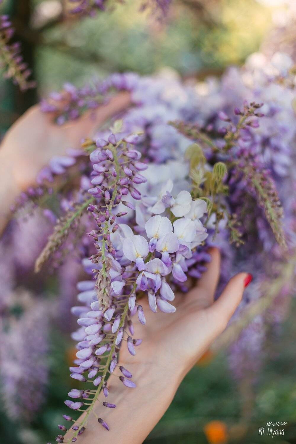 Весна. Автор: Ульяна Буканова (Мизинова) , Ульяна Буканова (Мизинова)